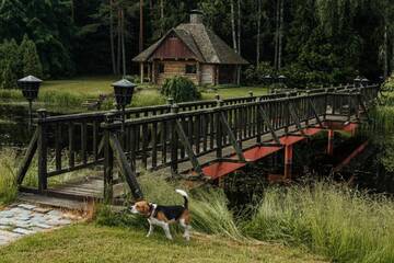 Фото номера Дом с 1 спальней Дома для отпуска Log Cabin г. Padure 57